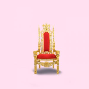 Zekeriyaköy Sünnet Koltuğu Kiralama