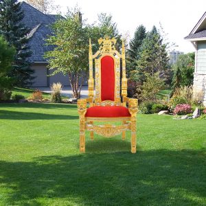 Zengin Sünnet Koltuğu Kiralama