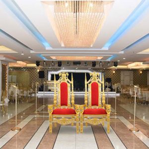 Seminer İçin Sünnet Koltuğu Kiralama